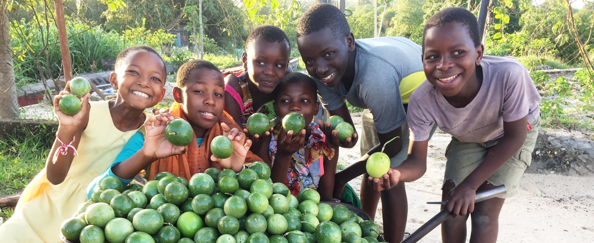 Collecting the harvest